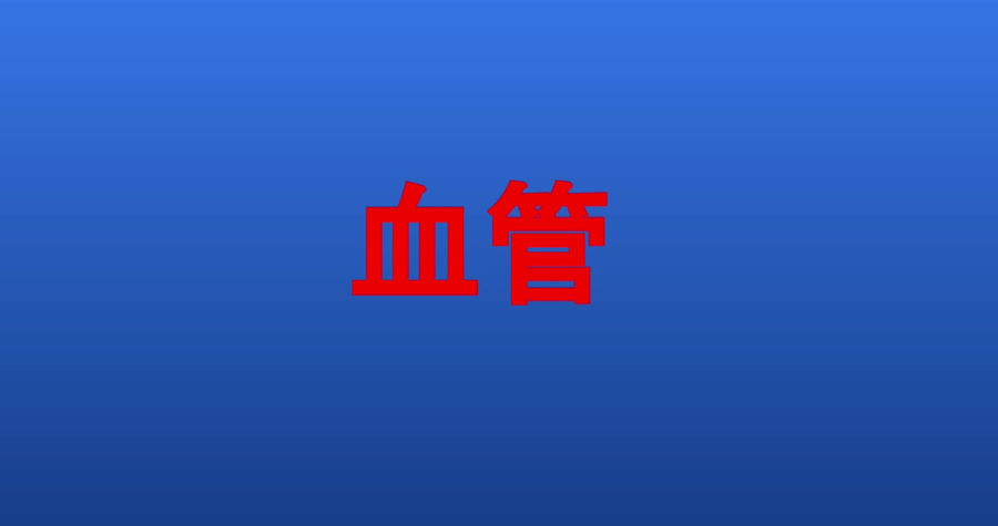3.機能から考える交感神経系の評価